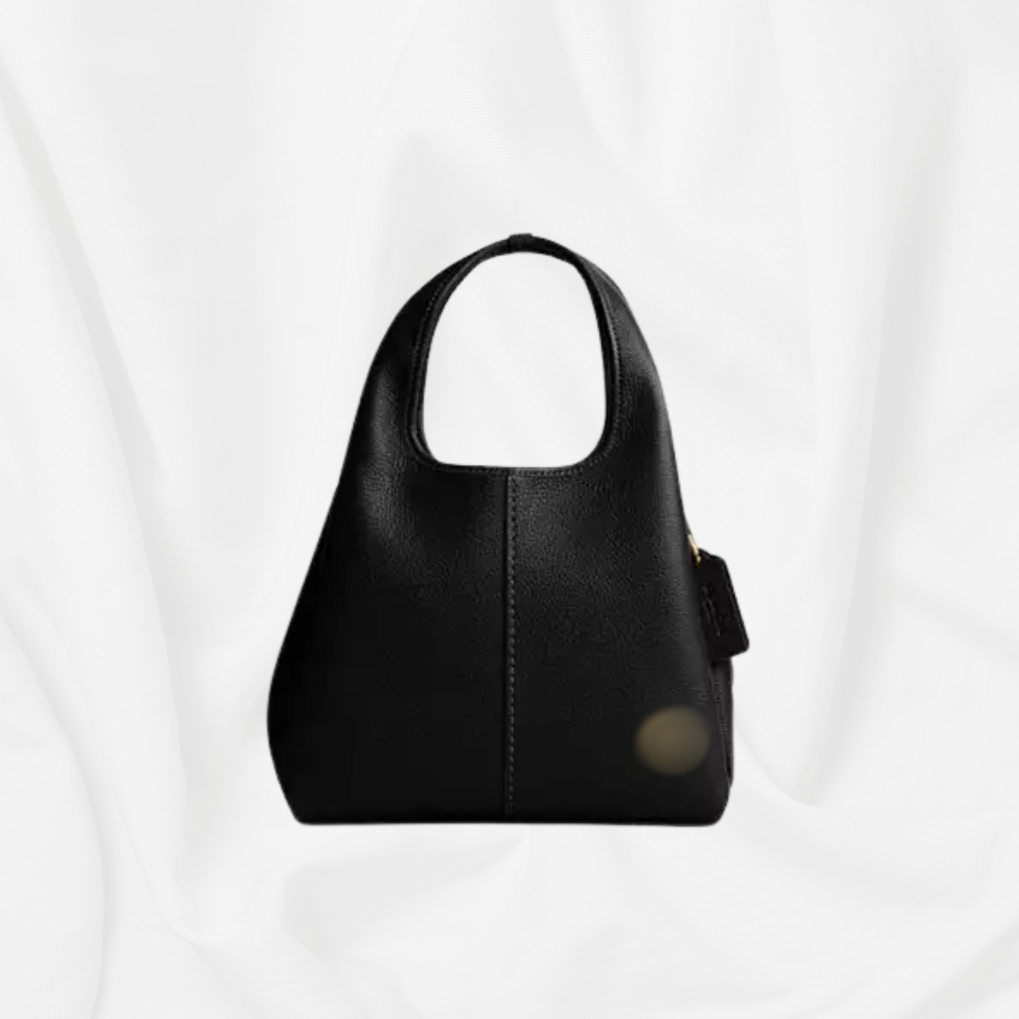 C - Dana Bag
